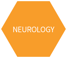 Neurology Experience