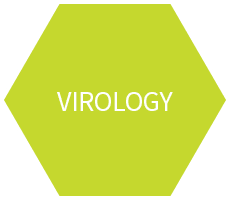 Virology Experience
