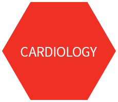 Cardiology Experience