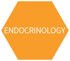 Endocrinology Experiece