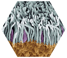 Microscopic view of optic nerve cells